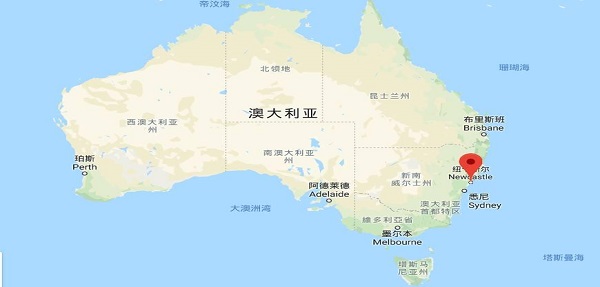如何海运到澳洲？海运到澳洲的操作步骤和注意事项！