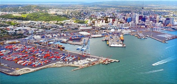 中国海运到新西兰,可靠高效的国际物流服务 | 快速、安全、便捷